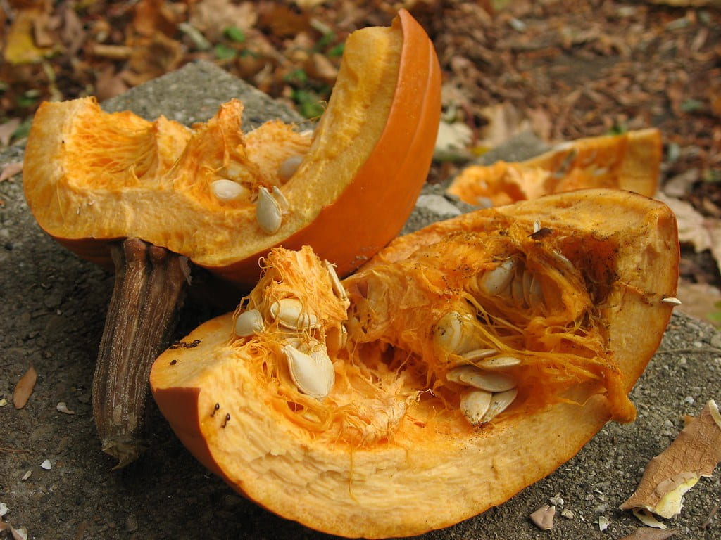 Why Halloween is Scary for Our How to Have a Sustainable
